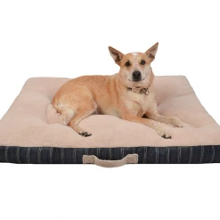 Koolatron Tool Chest Fridge KTCF50 - Tool Chests 6 Koolatron Tool Chest Fridge KTCF50 - Tool Chests -Cheap Storage & Moving Store 6982a9fe9eb68d775b2bb45668f2b40bba8b9899 2 5 300